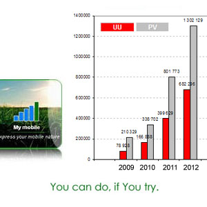 podsumowanie-zakonczonego-2012-roku-dla-my-mobile